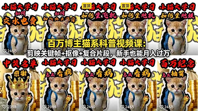 百万博主猫系科普视频课：剪映关键帧+抠像+复合片段，新手也能月入过万-源创文化-轻创终点站