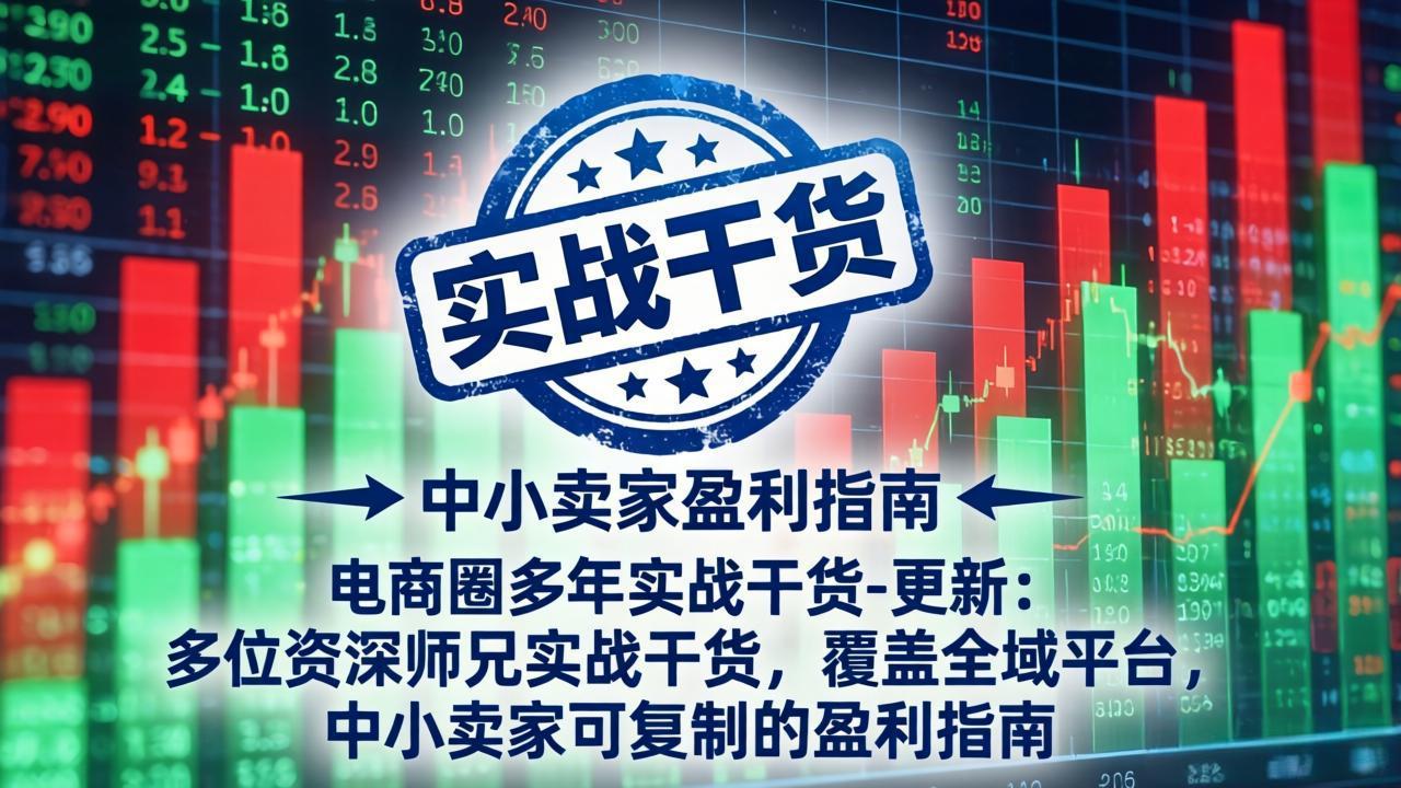 电商圈多年实战干货-更新5月20：多位资深师兄实战干货/覆盖全域平台，中小卖家可复制的盈利指南-源创文化-轻创终点站