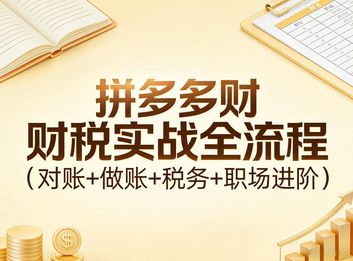 拼多多财税实战全流程(对账+做账+税务+职场进阶)-源创文化-轻创终点站