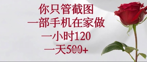 你只管截图,一部手机在家操作,一小时120.一天5张【揭秘】-源创文化-轻创终点站